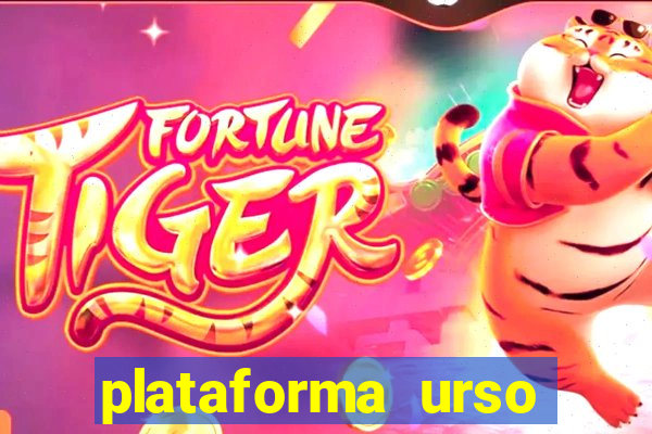 plataforma urso polar 777